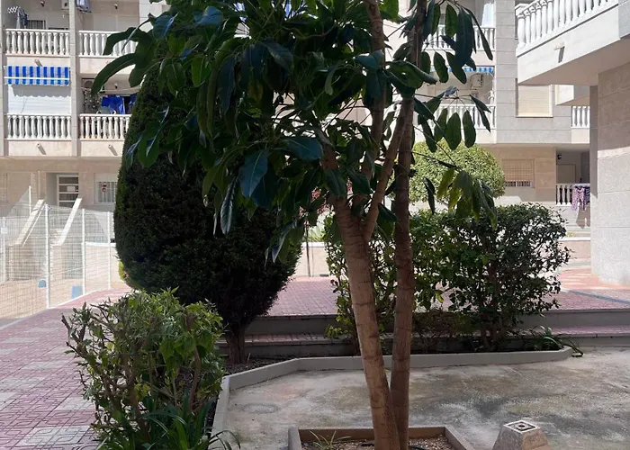 Perfect Pool Llm Apartment