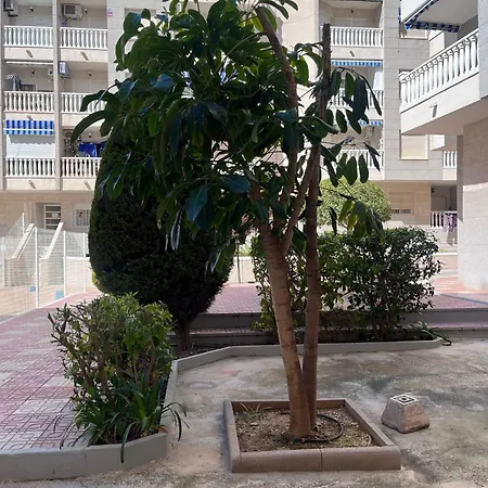 Perfect Pool Llm Apartament